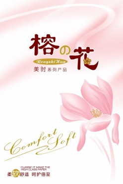 纸巾包装设计psd素材