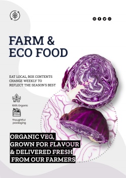 紫甘蓝蔬菜海报设计
