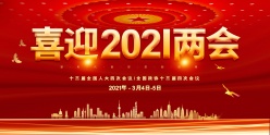 喜迎2021两会宣传海报