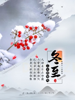 冬至雪景二十四节气海报
