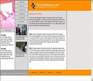 DesignEmpire 公司模板