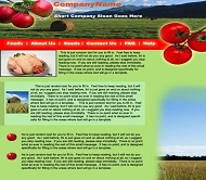 欧美食物网站模板
