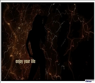 TM 娱乐模板FLASH