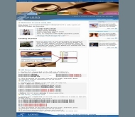 ThemeGallery 公司模板