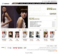 V5SHOP 企业商务模板