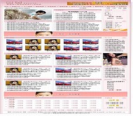 网奇Iwms免费模板V54