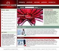 Mastertemplates 公司模板