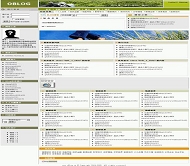 OBLOG 运动门户绿