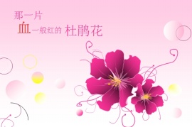 杜鹃花PPT模板下载