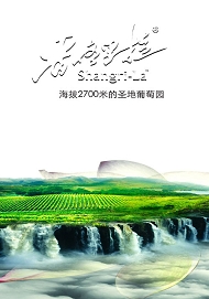 香格里拉葡萄酒模板