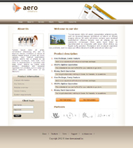 国际航空企业CSS网页模板