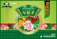 广告海报设计模板下载