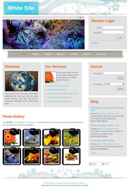 图片画廊CSS网页模板