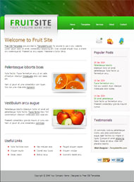 幻彩水果CSS网页模板