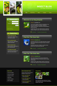 昆虫博客CSS网页模板