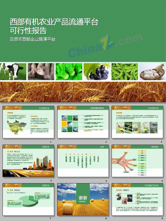 农业产品流通PPT模板