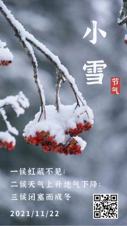 小雪实景传统节气海报