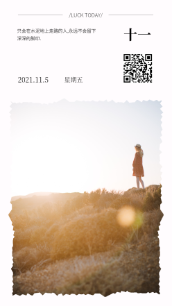 11月5日日签