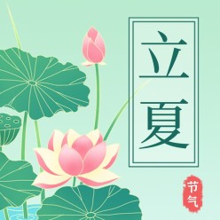 立夏荷花公众号次图