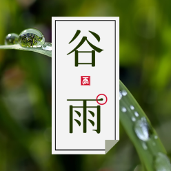 谷雨节气公众号次图