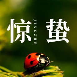 惊蛰节气公众号次图