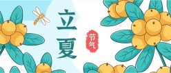 立夏公众号封面