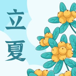 立夏公众号次图