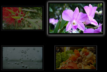 CSS3图片悬停放大动画