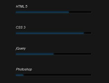 CSS3个人技能进度条