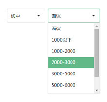 jQuery select下拉框美化插件