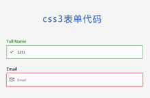 CSS3表单输入框动画特效