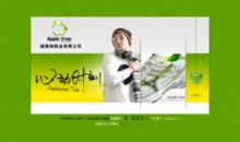 appletreeshoes.com
