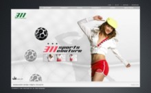 ss311.com