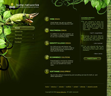 bumpnetworks.com