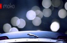 moko-studio.com