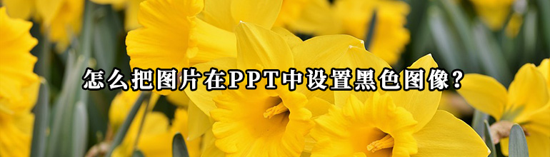 怎么把图片在PPT中设置黑色图像？