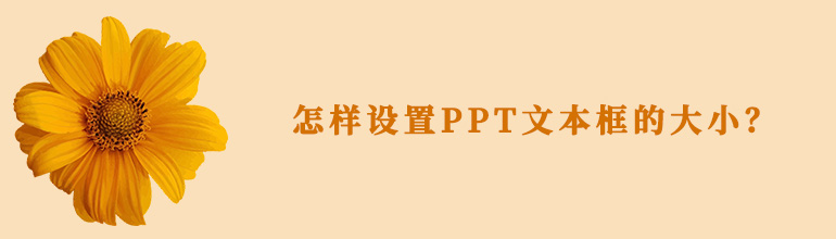 怎样设置PPT文本框的大小？