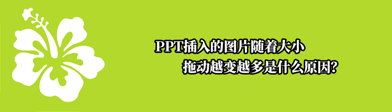 PPT插入的图片随着大小拖动越变越多是什么原因？