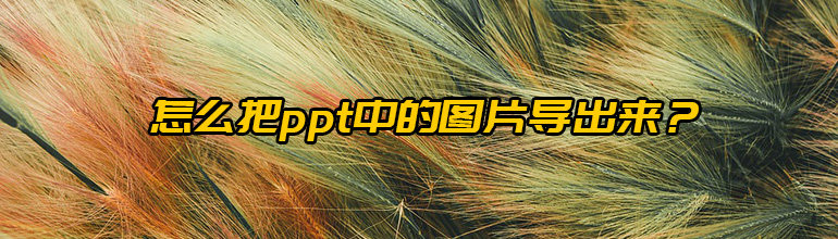 怎么把ppt中的图片导出来？