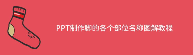 PPT制作脚的各个部位名称图解教程