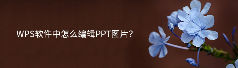 WPS软件中怎么编辑PPT图片？