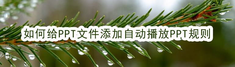 如何给PPT文件添加自动播放PPT规则