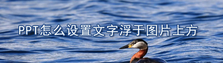 PPT怎么设置文字浮于图片上方