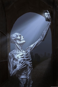 人体骨骼骷髅创意摄影图片