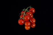樱桃西红柿图片