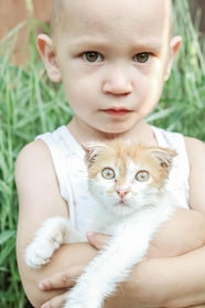 欧美小男孩抱着小猫咪图片