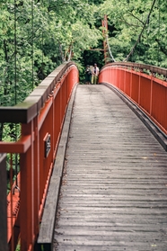 森林公园吊桥图片