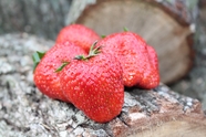 健康多汁红色草莓图片