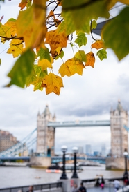 秋天英国伦敦桥图片