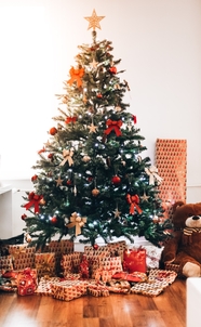 圣诞节礼物圣诞树装扮图片